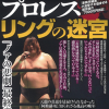 森嶋猛/プロレスリングの迷宮